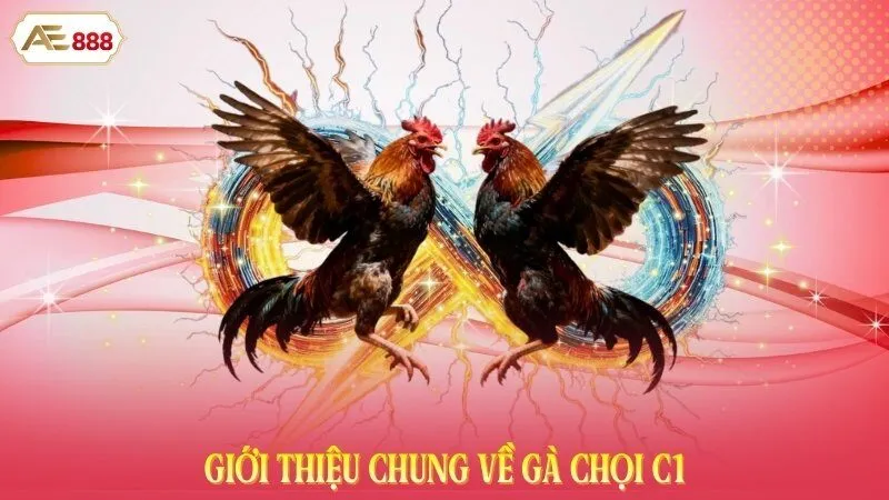 Giới thiệu chung về gà chọi C1